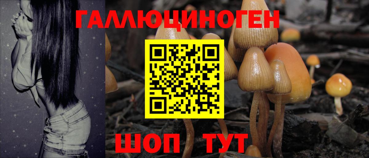Ижевск  Псилоцибиновые грибы ЛСД  Вход с VPN  где купить наркоту  Галлюциногенные грибы Psilocybine cubensis 