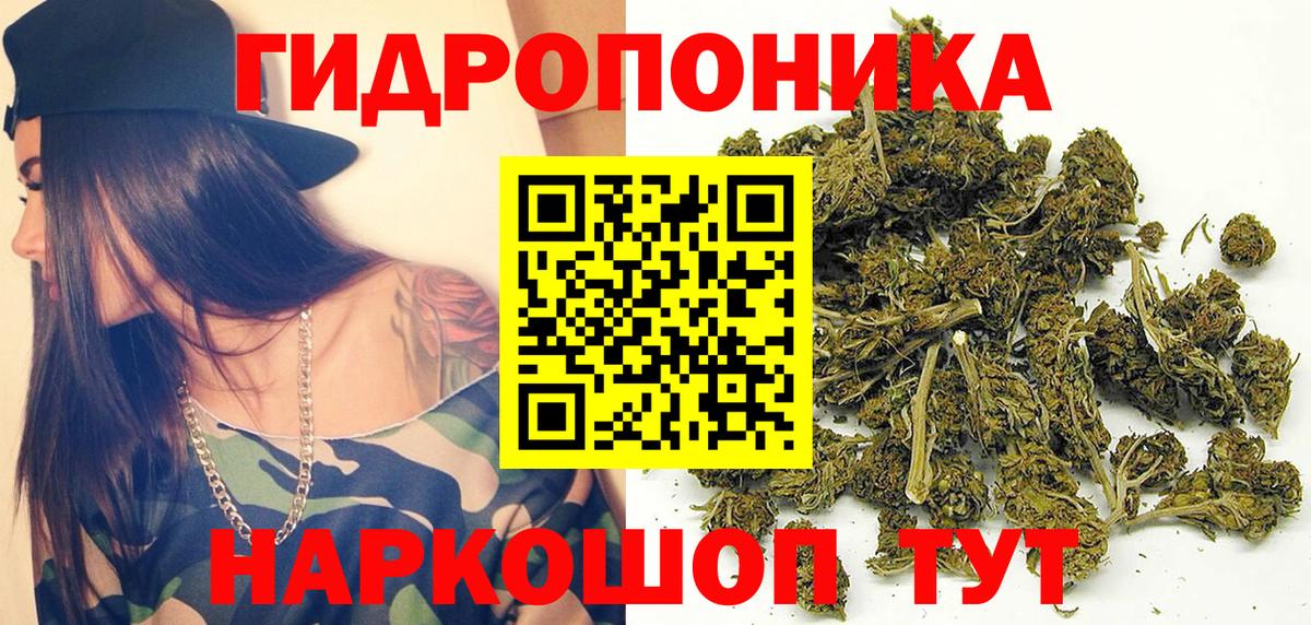 Каннабис White Widow  Каннабис планчик  Вход с VPN  Ижевск  Канабис гибрид 